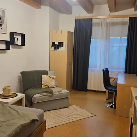 Entire Upper Floor With Roof Terrace 公寓